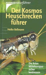 Produktfoto
