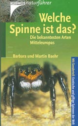 Produktfoto
