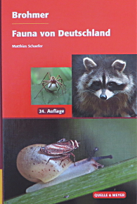 Produktfoto