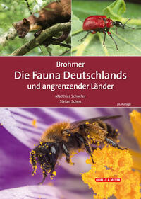 Produktfoto
