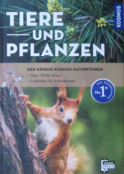 Produktfoto