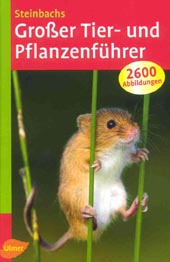 Produktfoto