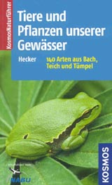 Produktfoto