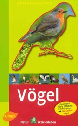 Produktfoto