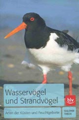 Produktfoto