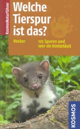 Produktfoto