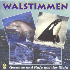 Produktfoto