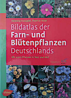 Produktfoto